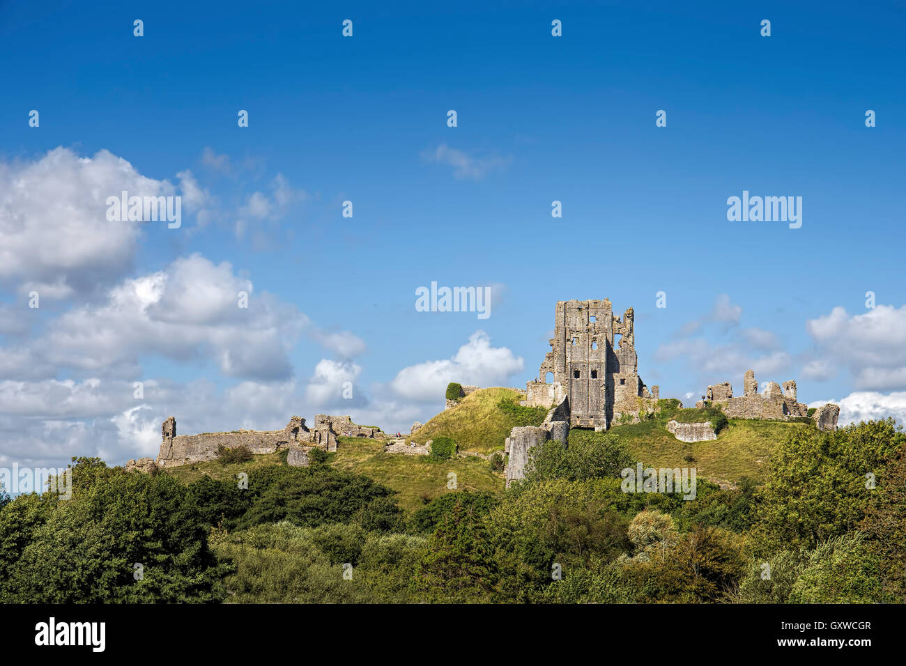 Ancient monument. Corfe Castle dating back to the 11th Century situated in the Purbeck Hills. isle of Purbeck, Dorset, England UK Stock Photo