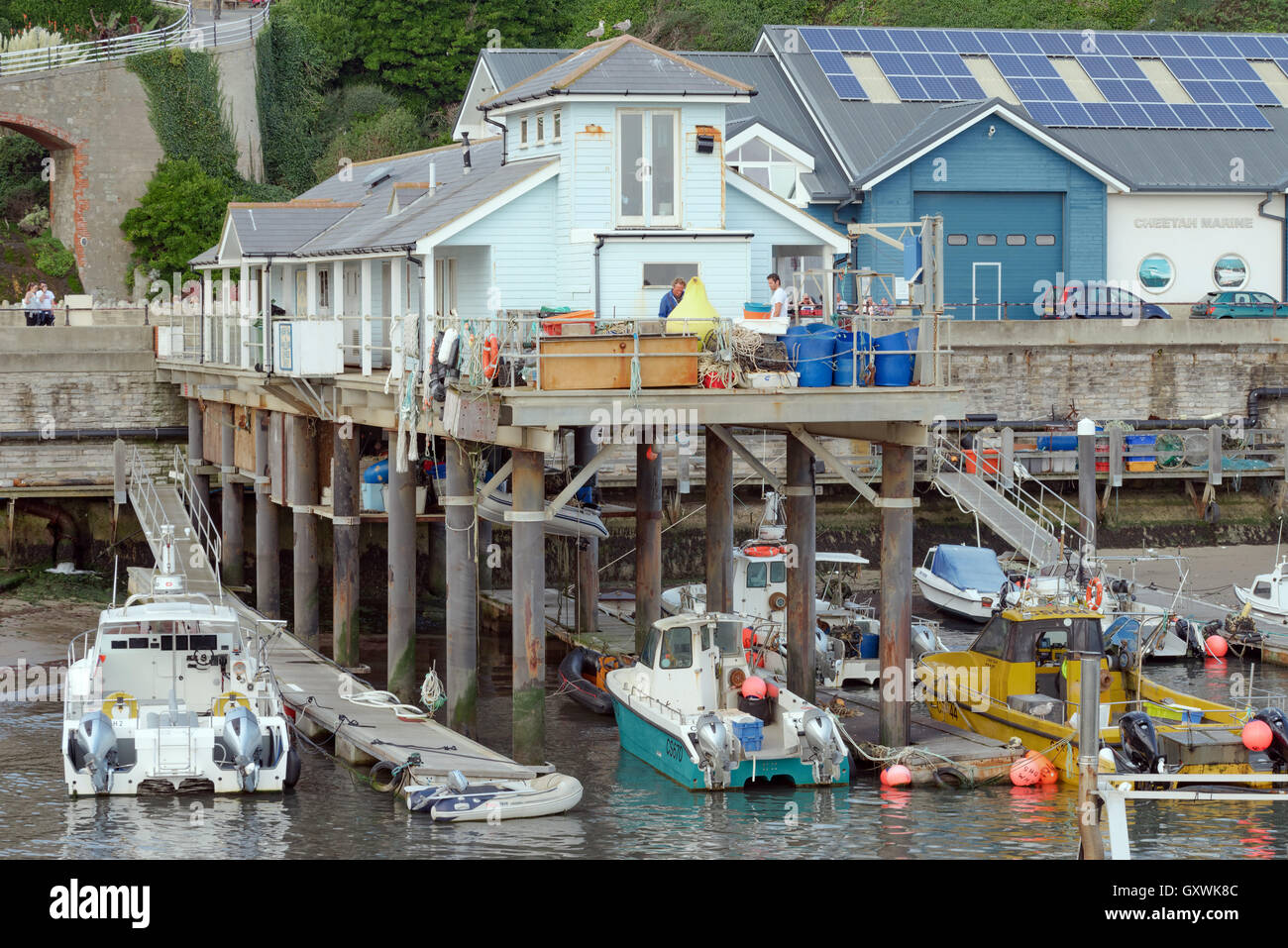 Ventnor on the southern Isle of Wight coast Stock Photo Alamy