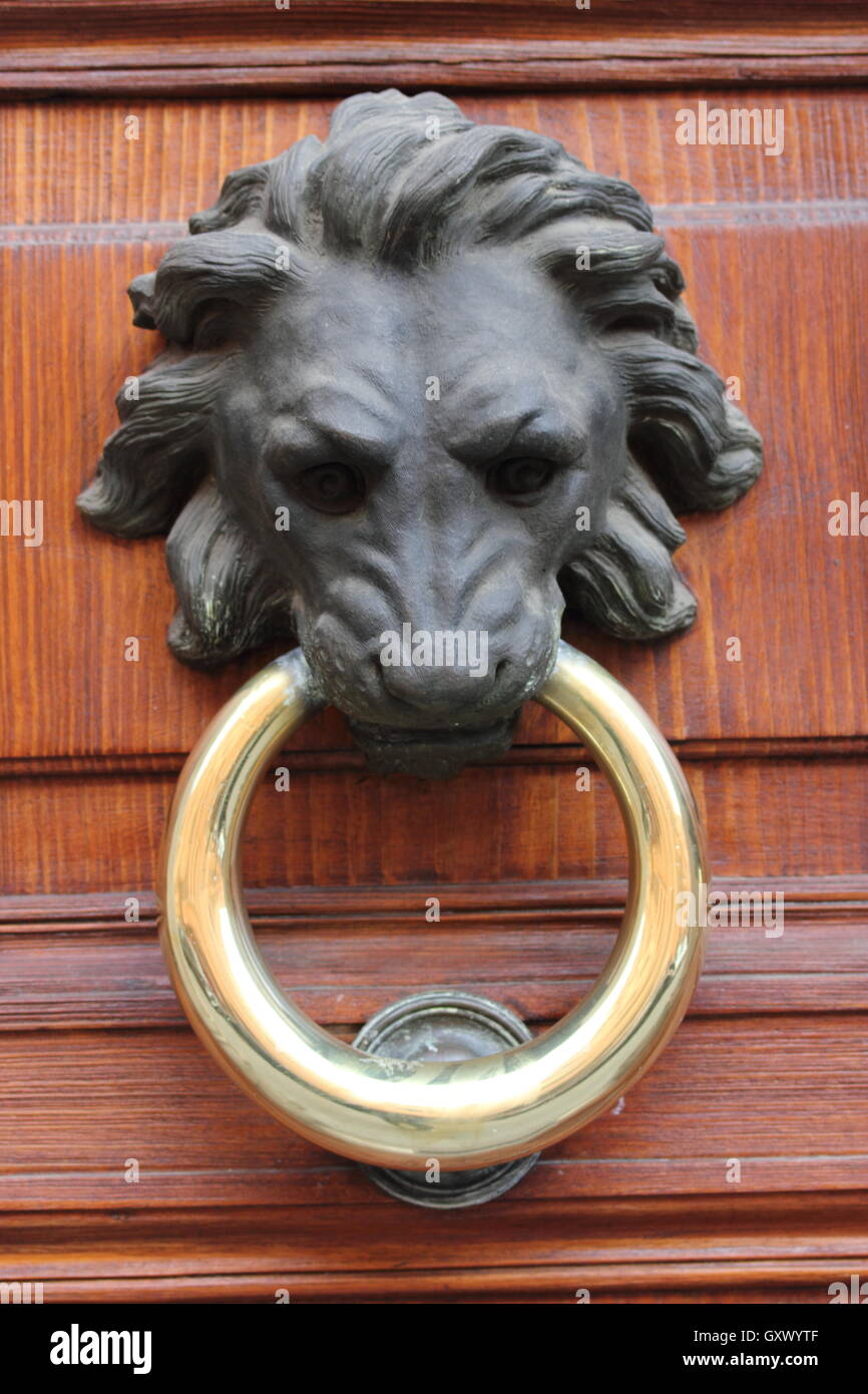 a beautiful elegant lion door knocker on wooden door Stock Photo