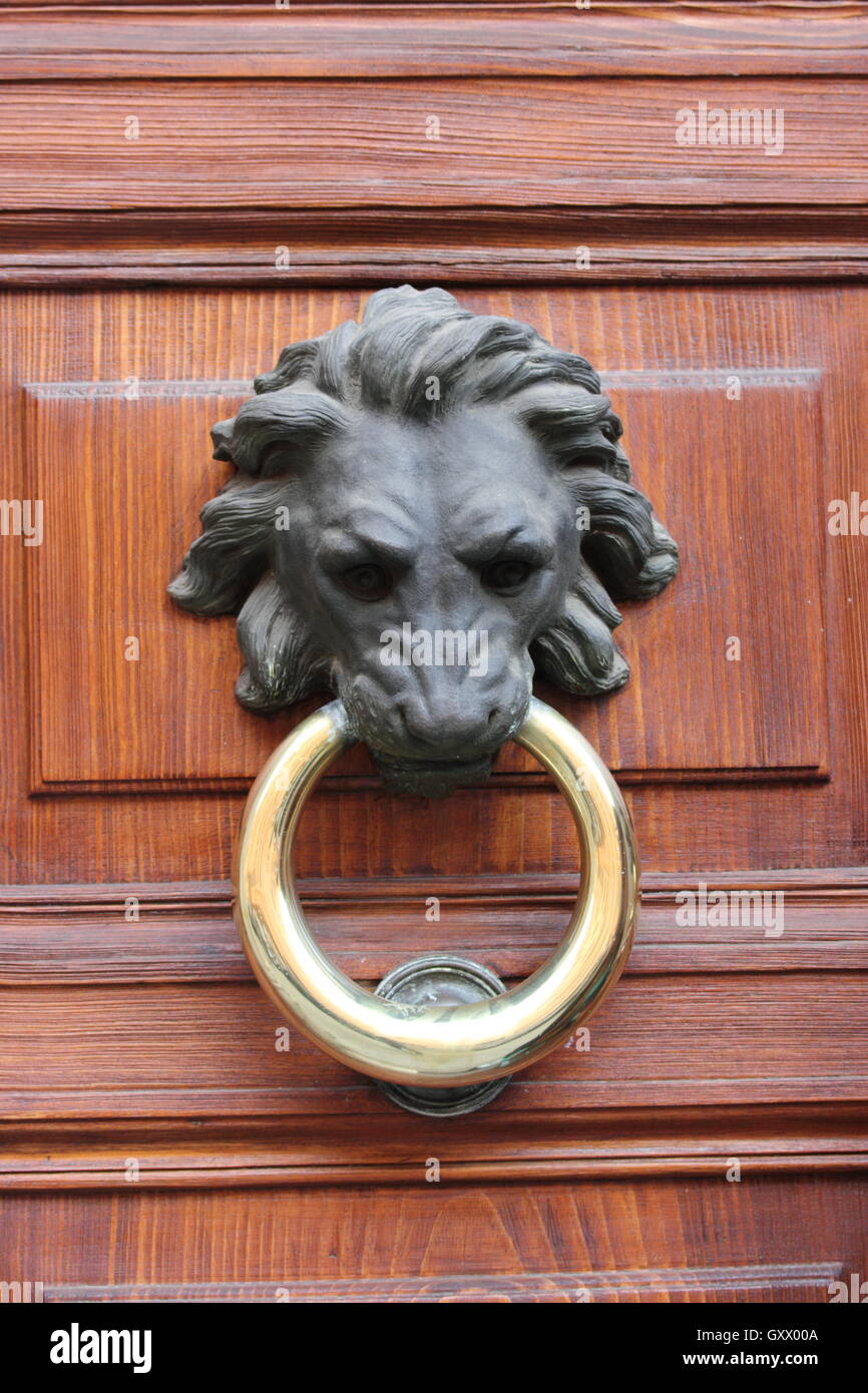 a beautiful elegant lion door knocker on wooden door Stock Photo