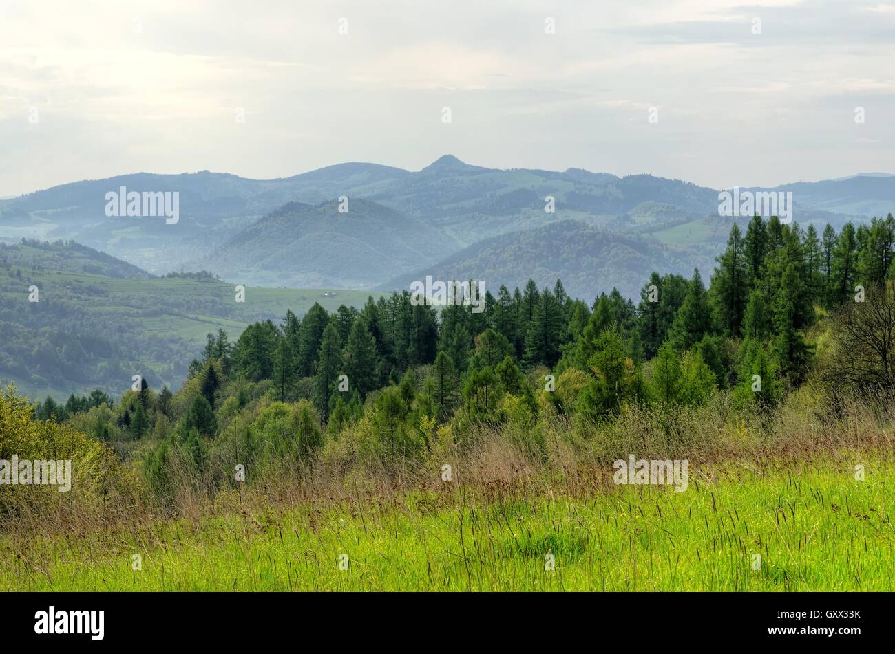 Spring mountain landscape. Forested Pieniny Mountains in Poland. Stock Photo