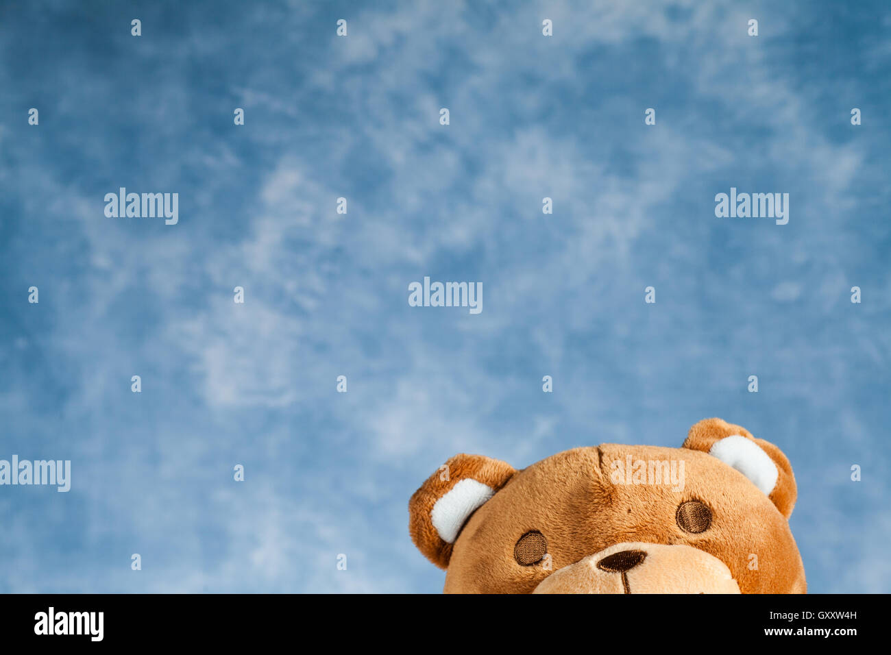 Teddy Bear toy on blue sky background with copyspace Stock Photo - Alamy