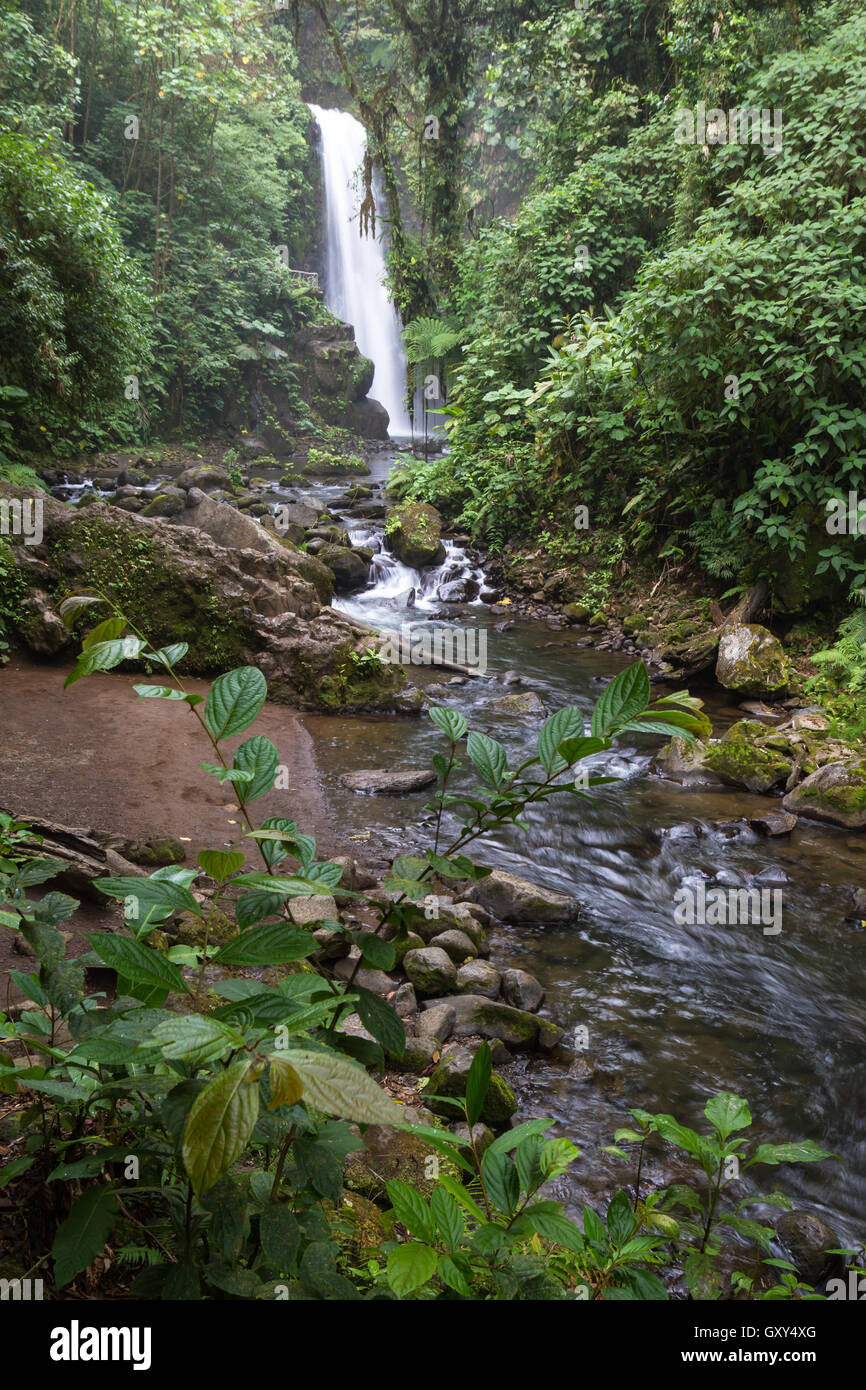 beautiful waterfall in a tropical rain forest in central Costa Rica