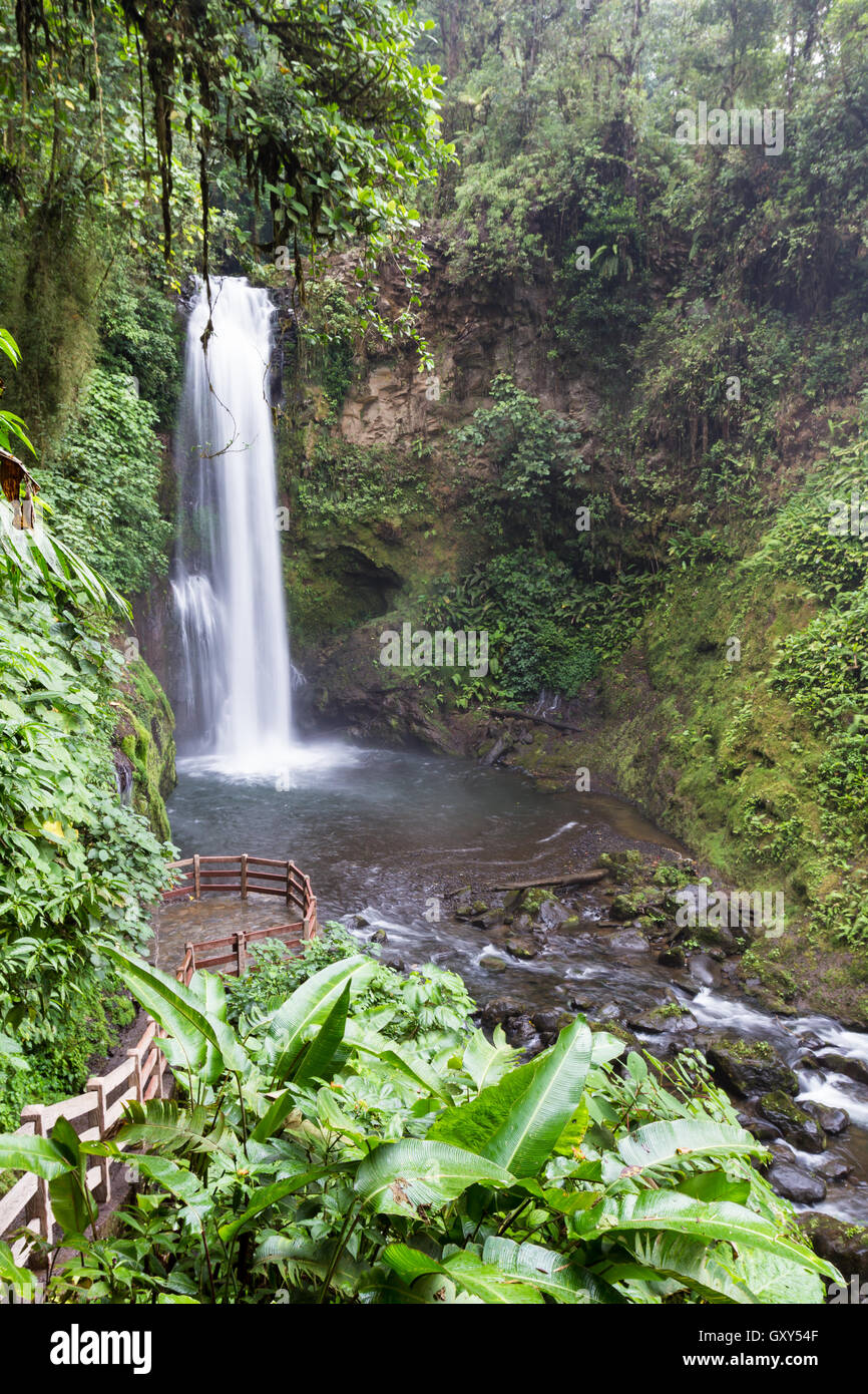 beautiful waterfall in a tropical rain forest in central Costa Rica