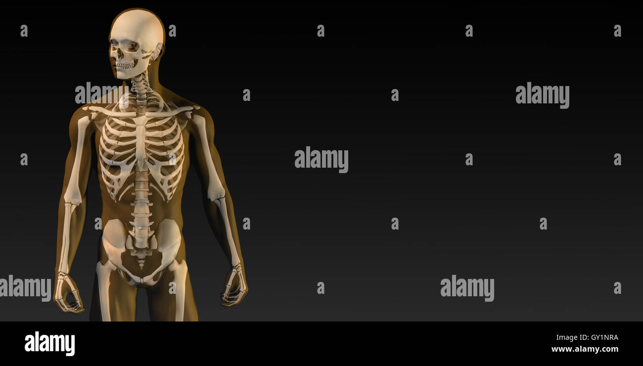 Transparent Human with Bone Structure in Movement Stock Photo - Alamy