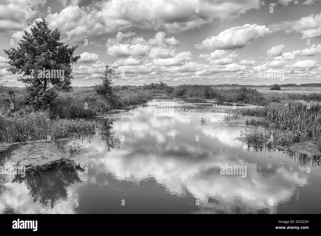 Landscape with river, trees and clouds in the sky. Nature background ...