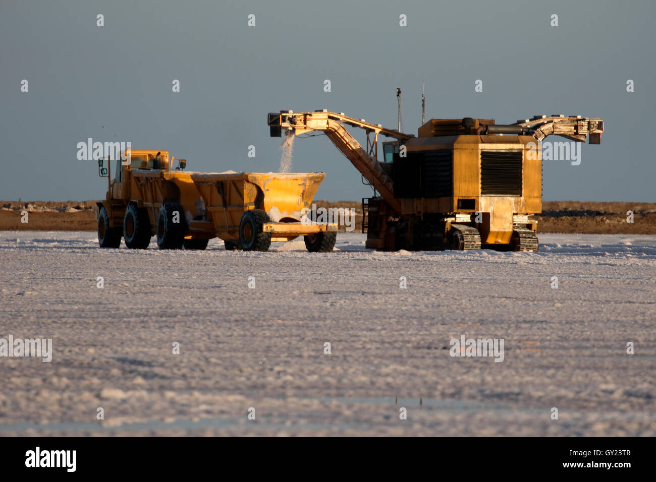 Collecting salt by machine, Saltpans, Walvis Bay, Namibia,  August 2016 Stock Photo