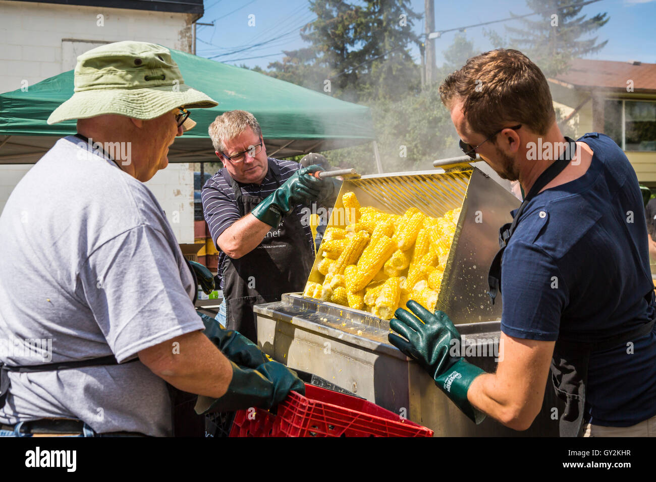 Boiling free corn on the cob at the Corn and Apple Festival in Morden, Manitoba, Canada. Stock Photo