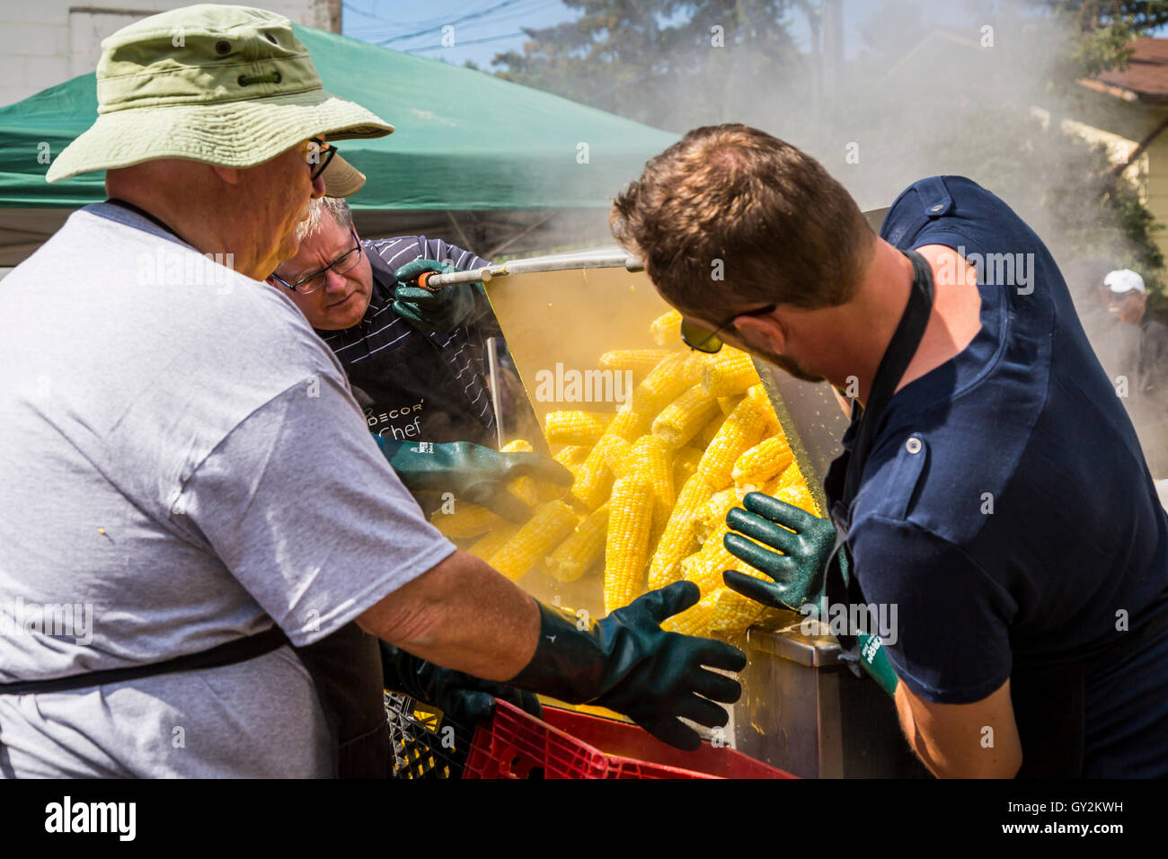Boiling free corn on the cob at the Corn and Apple Festival in Morden, Manitoba, Canada. Stock Photo