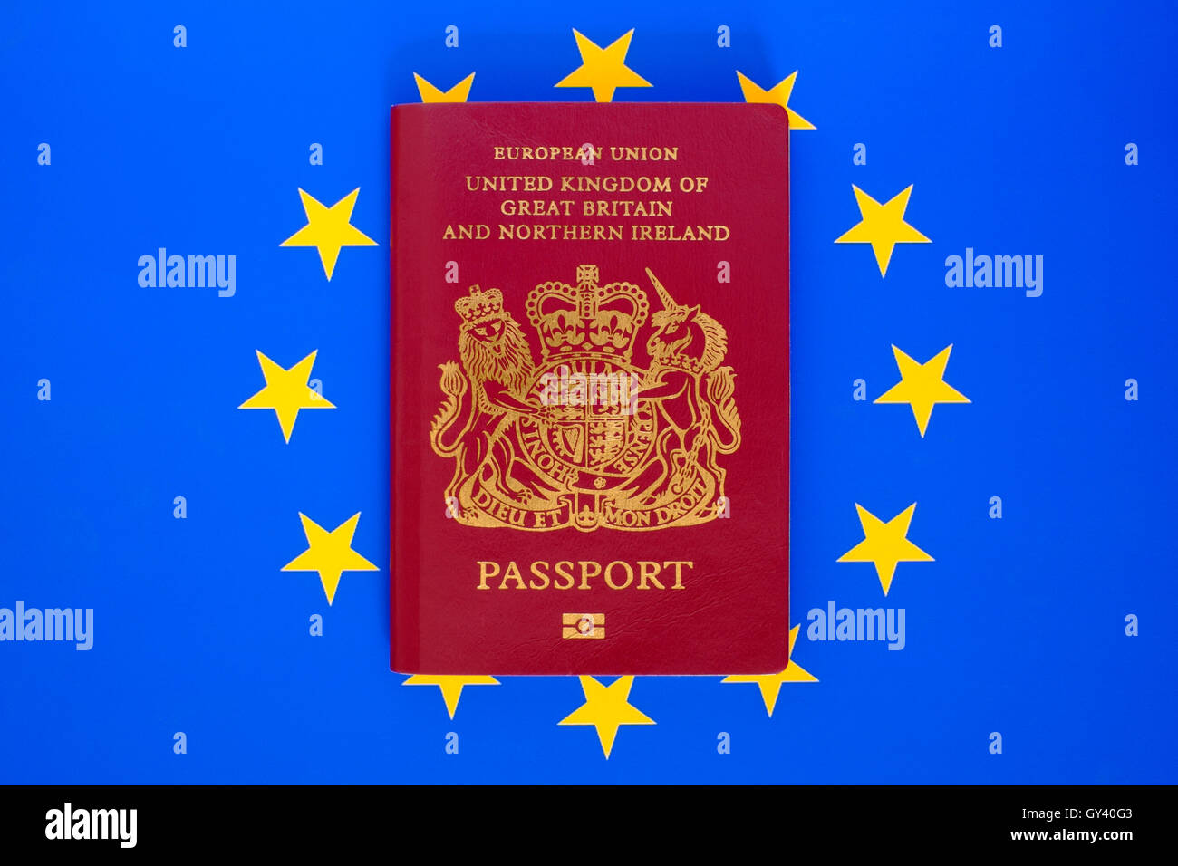 united kingdom european union burgundy passport on an eu flag background Stock Photo