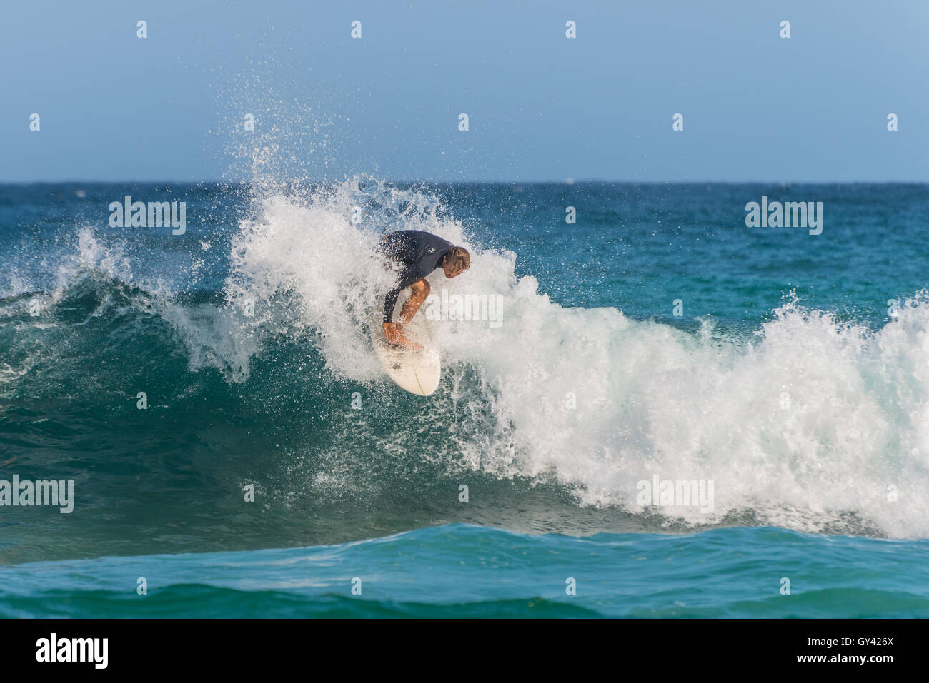 Australian surfer on the wave, Bondi Beach in the Eastern Suburbs Sydney Stock Photo