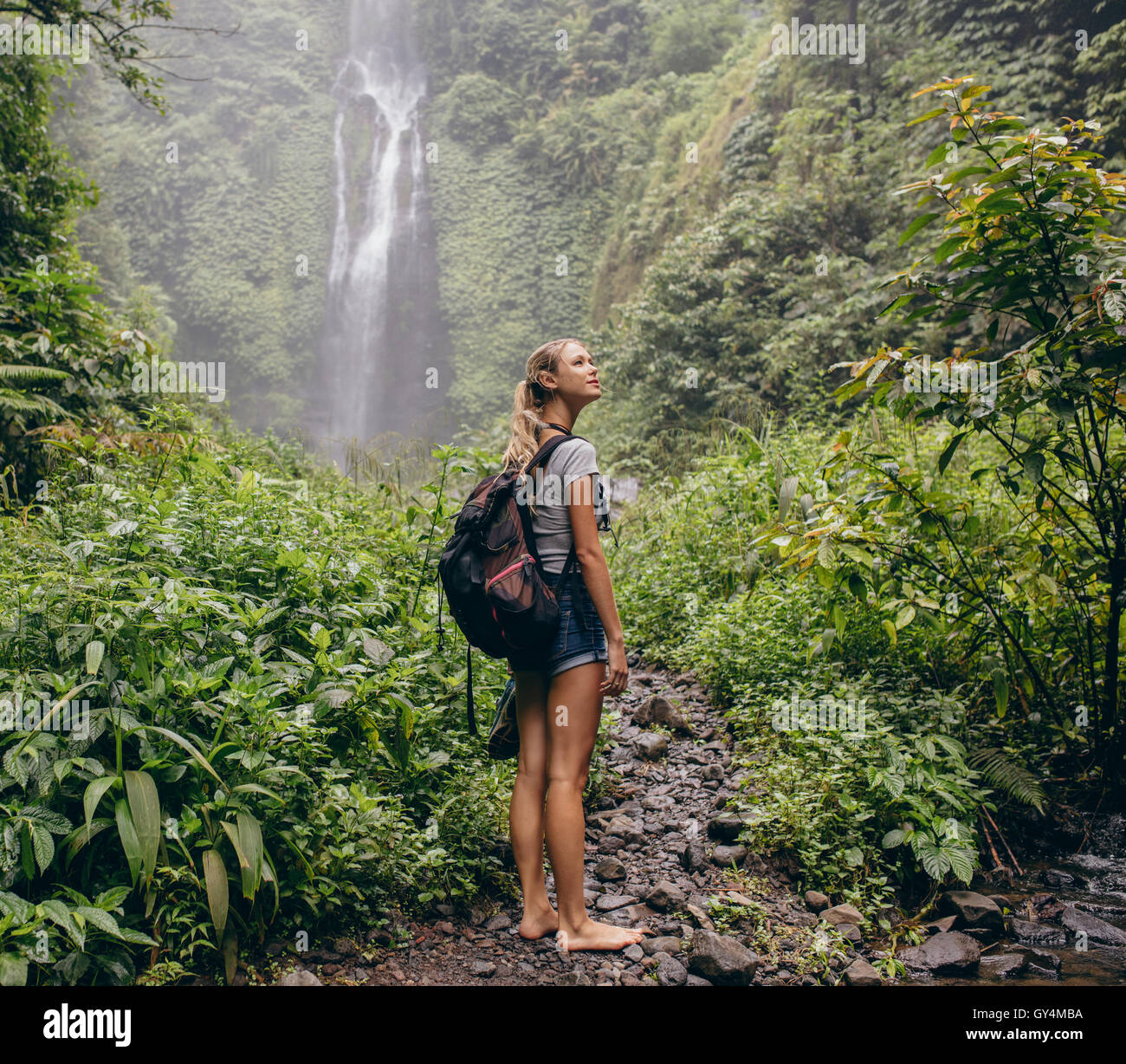 Female woman trekking forest hi-res stock photography and images - Alamy