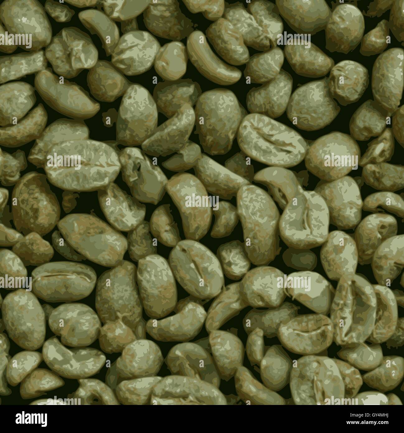 organic green coffee beans Stock Vector Image & Art Alamy
