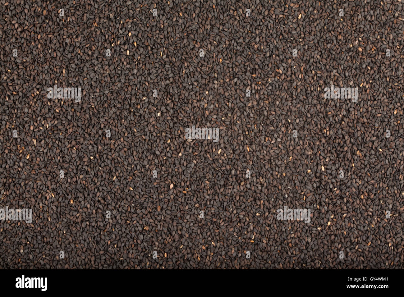 black sesame isolated on white background Stock Photo - Alamy