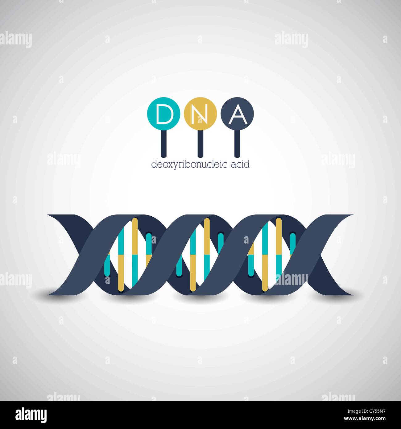 Dna structure chromosome design Stock Vector Image & Art - Alamy