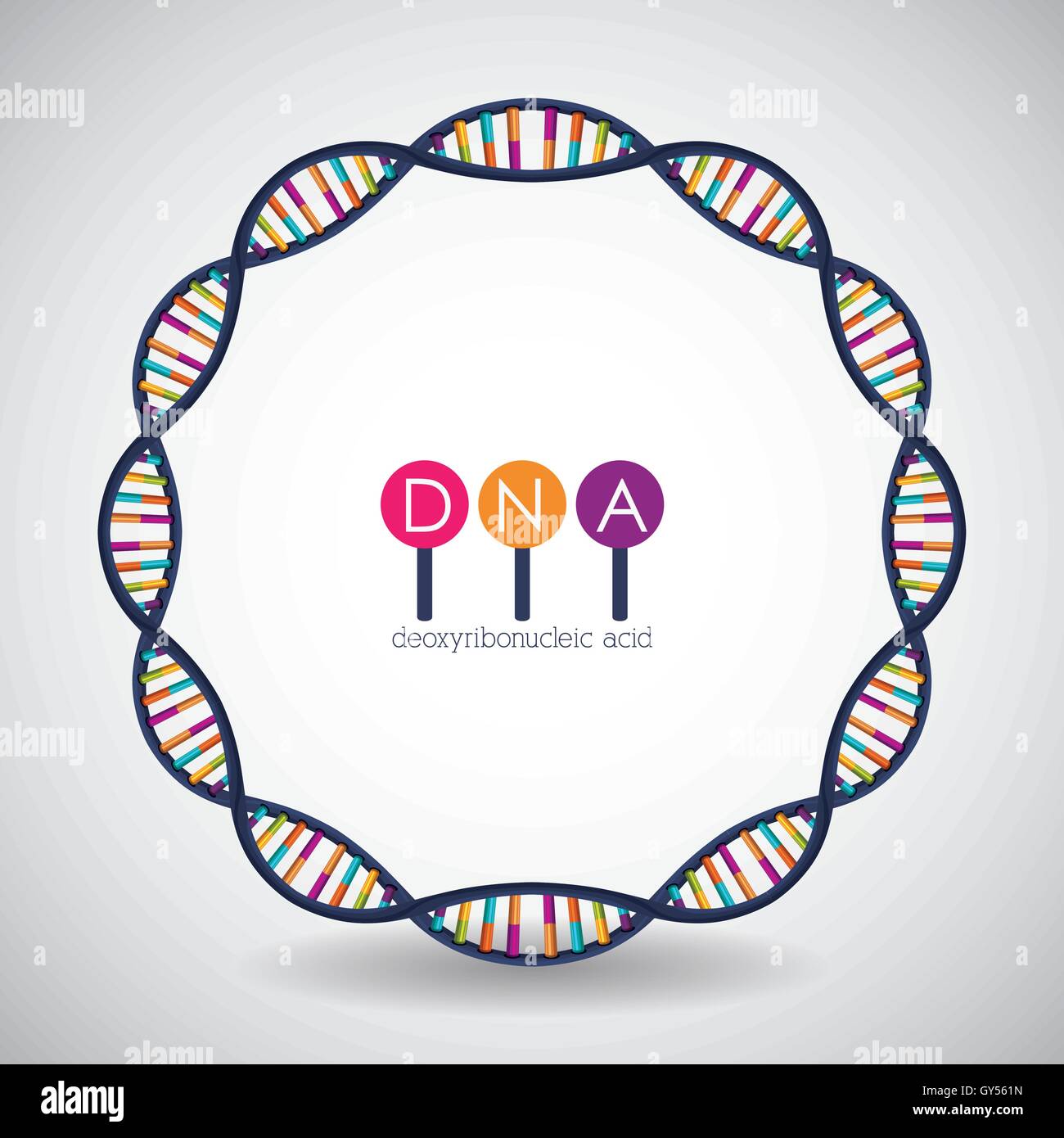 Dna circle structure chromosome design Stock Vector Image & Art - Alamy