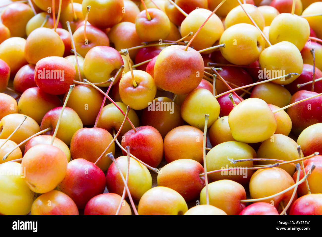 September Fresh Hi Res Stock Photography And Images Alamy