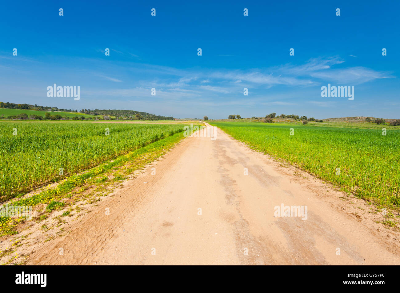 Fields in Israel Stock Photo - Alamy