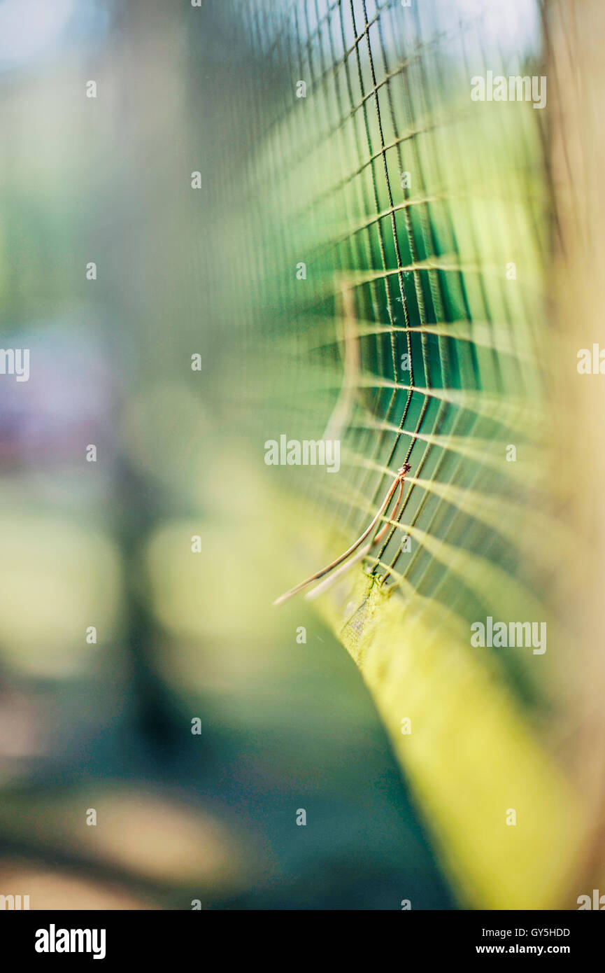artistic image of the detail of the playing net Stock Photo