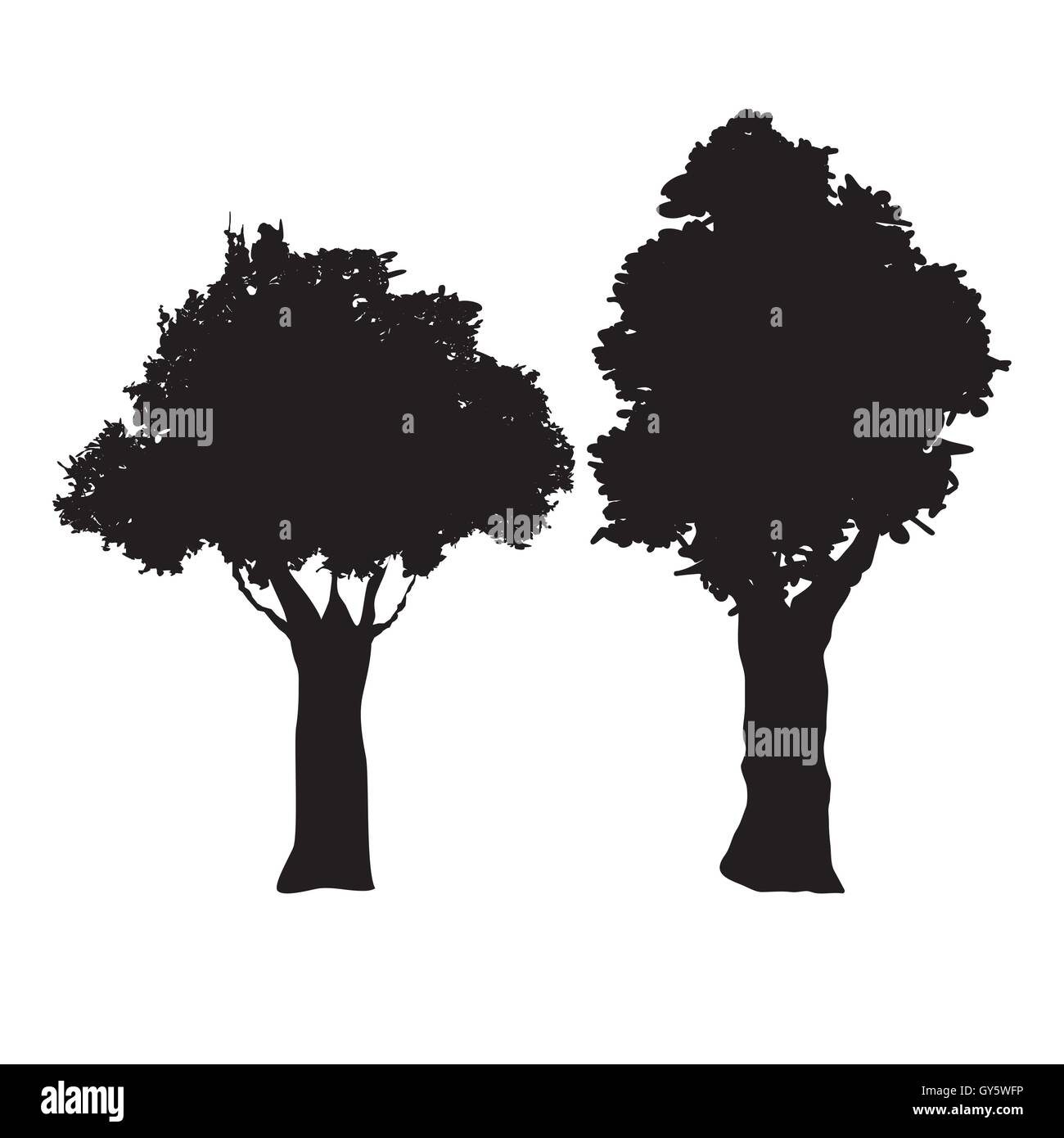 Tree plant silhouette design Stock Vector Image & Art - Alamy