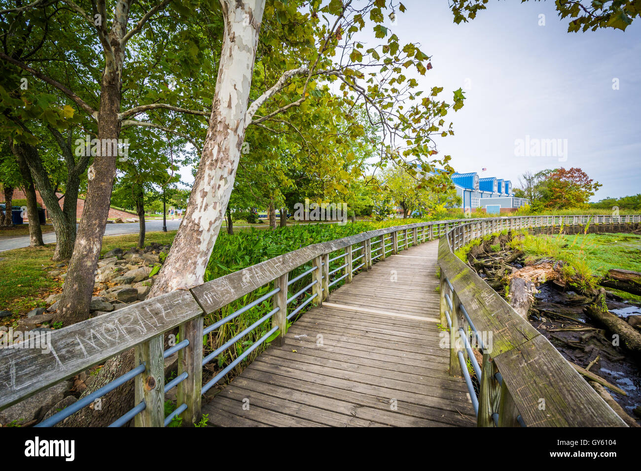 Boardwalk trail in a wetland, at Rivergate City Park, in Alexandria, Virginia. Stock Photo