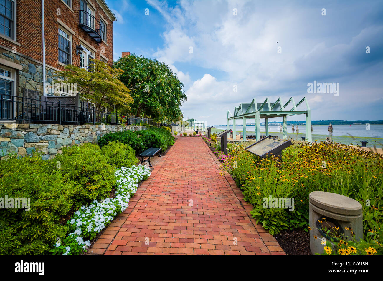 Gardens And Apartment Building Along The Potomac River Waterfront