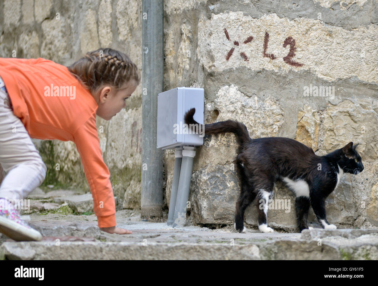 A little girl chasing a cat in the streets of Kotor Old Town, Montenegro Stock Photo