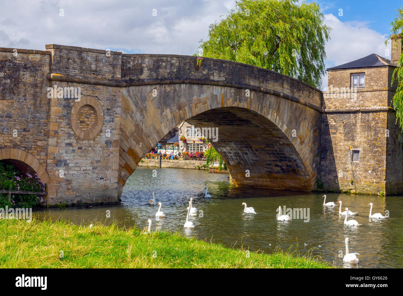 A group of mute swans below Halfpenny Bridge on the River Thames at