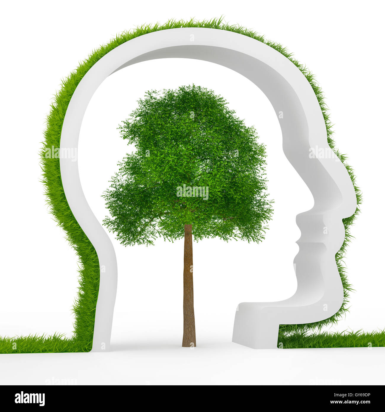 Natural values human Stock Photo Alamy