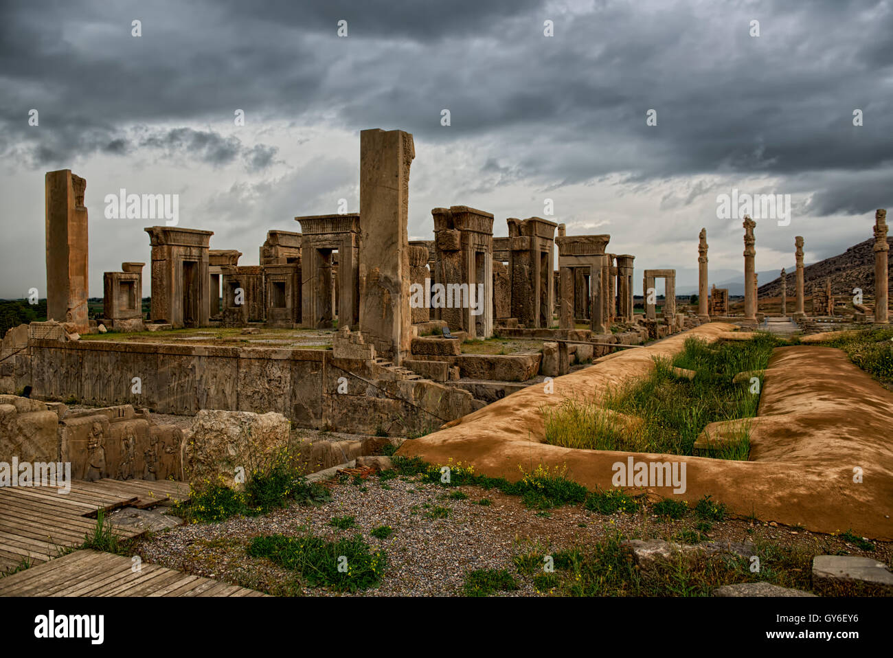 Tachara hires stock photography and images Alamy