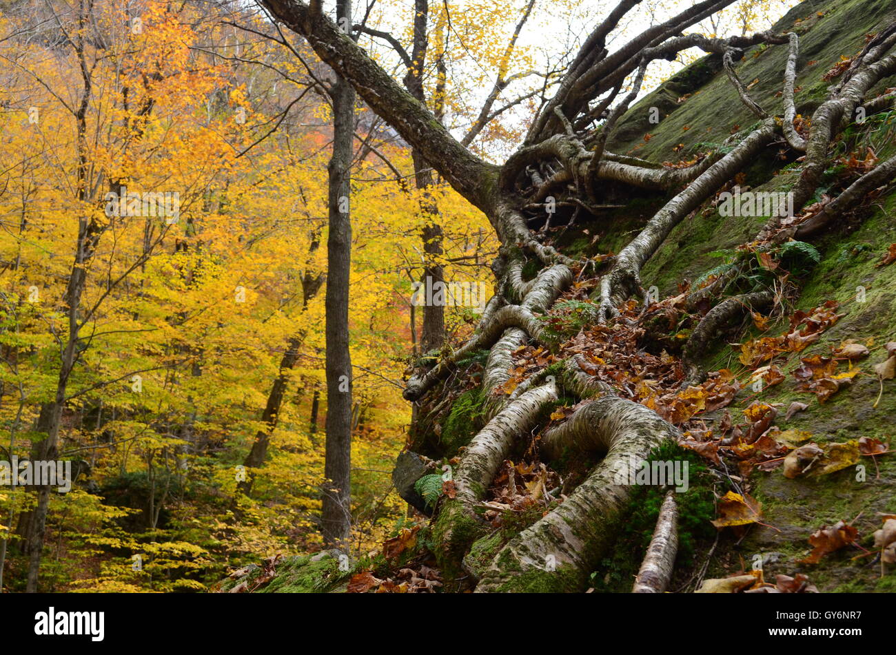 Off the beaten path on the mountain to Smugglers Notch in Vermont Stock Photo