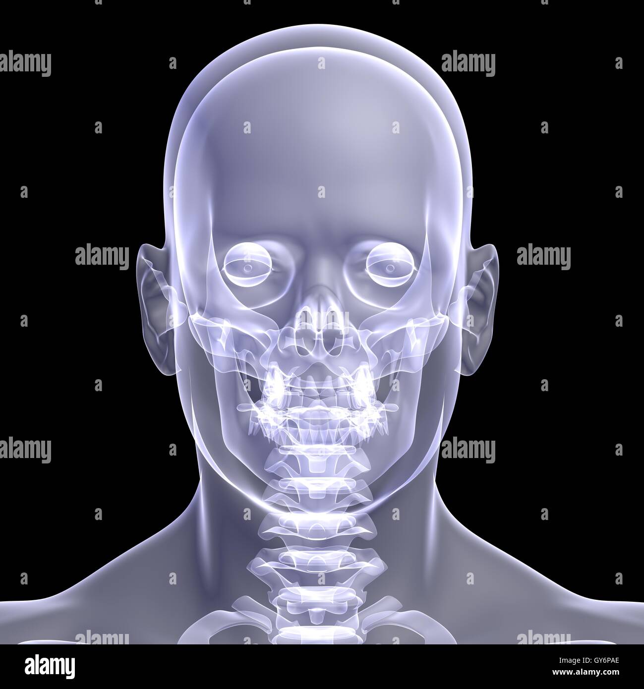 Head and shoulder photo hi-res stock photography and images - Alamy