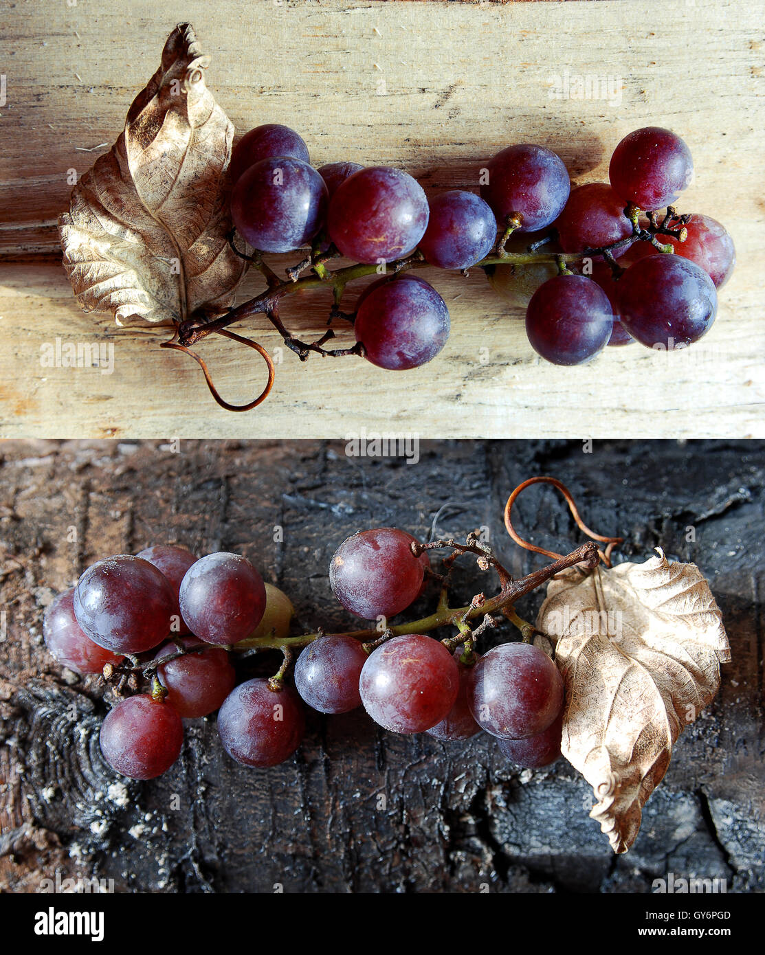 purple grape branch on wood background Stock Photo