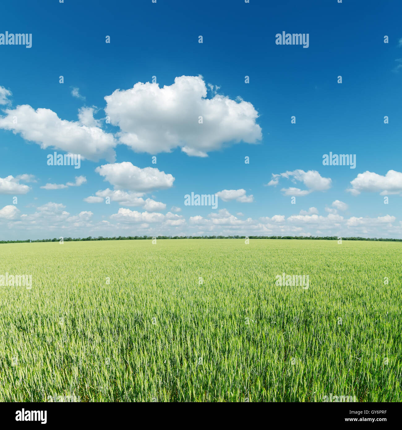 green field and clouds on blue sky Stock Photo - Alamy