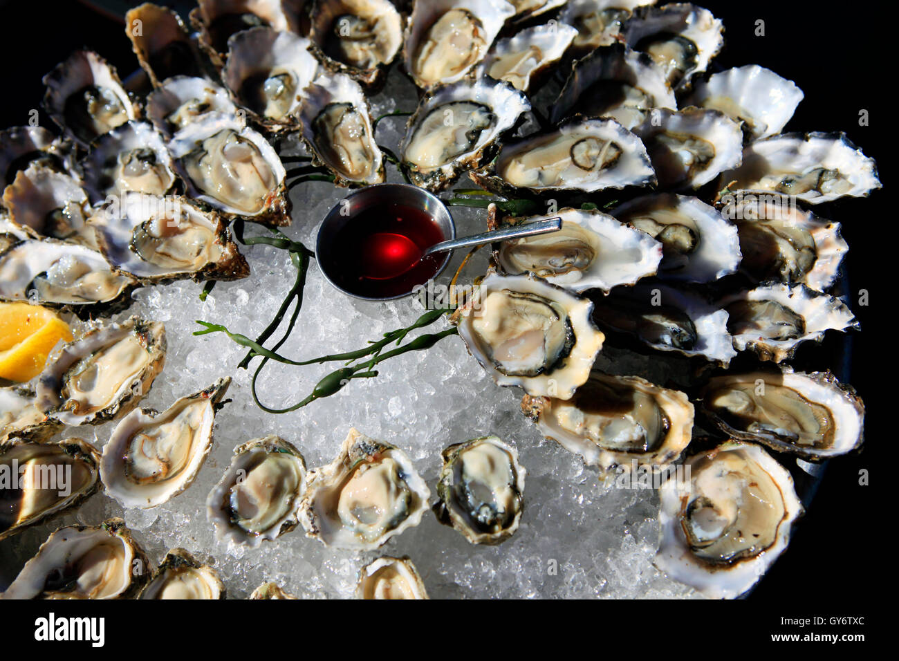 Opened oysters on ice Stock Photo Alamy