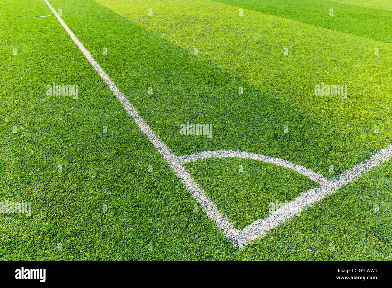 Soccer field grass with white line Stock Photo Alamy