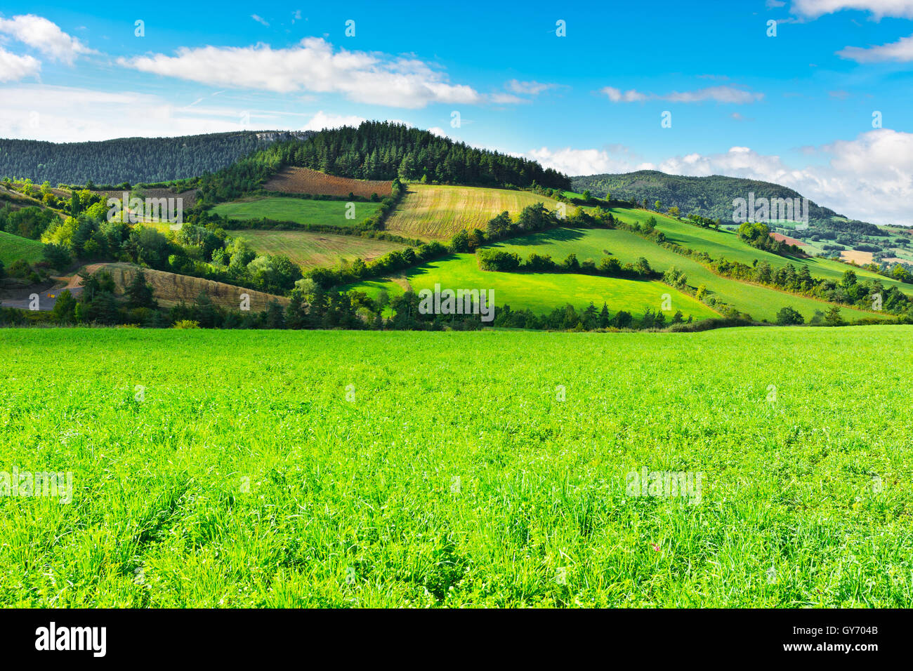 Pasture cultivation hi-res stock photography and images - Alamy