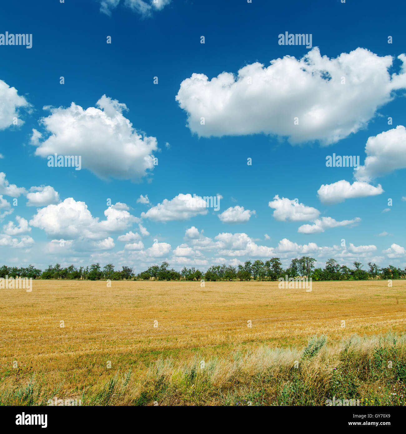 rural landscape under cloudy sky Stock Photo - Alamy