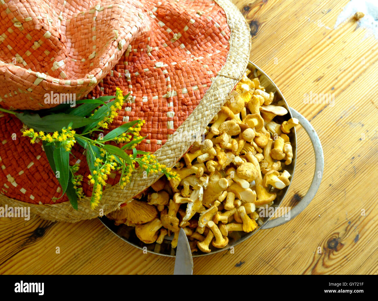 chantarelle and goldenrod Stock Photo