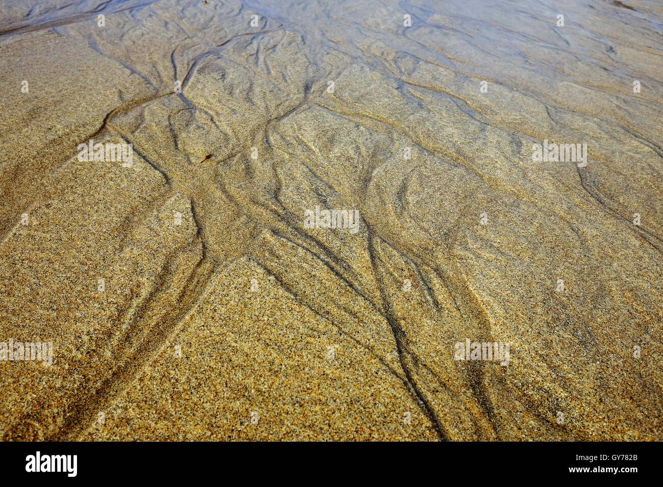 Patterns from the tide in sand on beach. Stock Photo