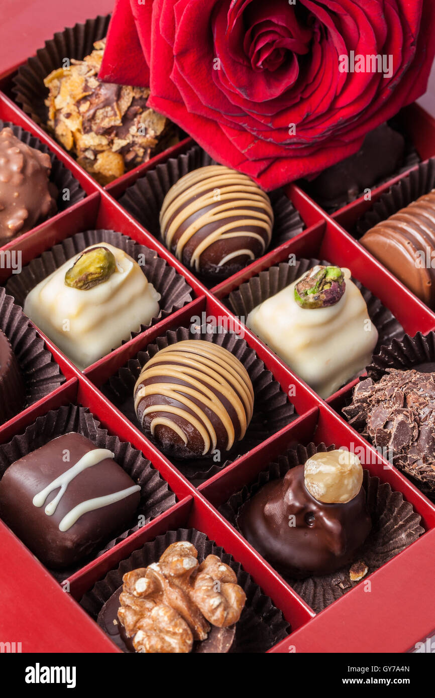 Image of delicious handmade chocolates and rose blossom Stock Photo