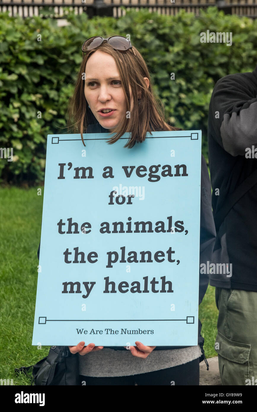 Unraveling the Enigma: Was Leonardo da Vinci a Vegan Ahead of His Time?