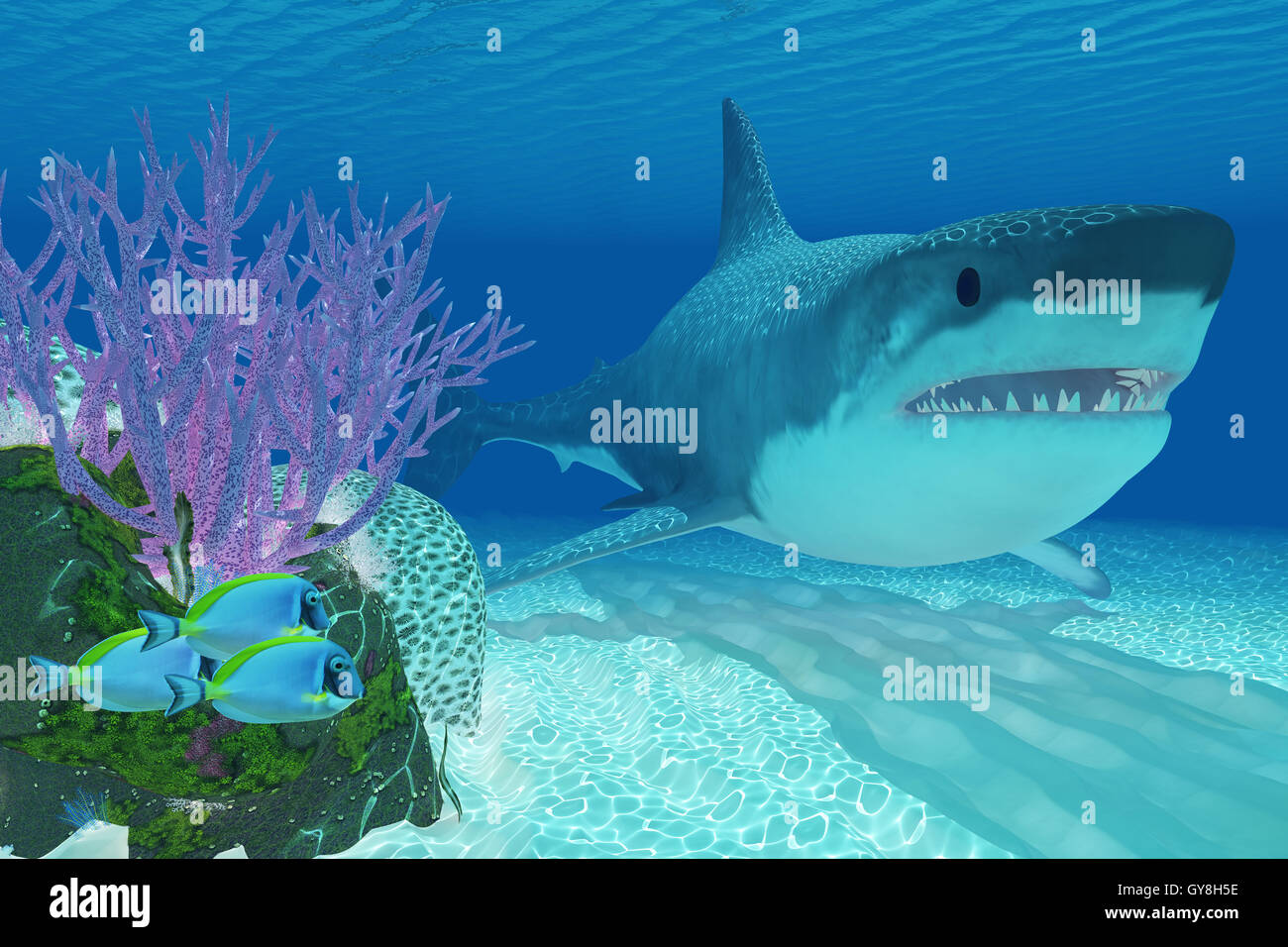 Prehistoric Megalodon Shark Stock Photo