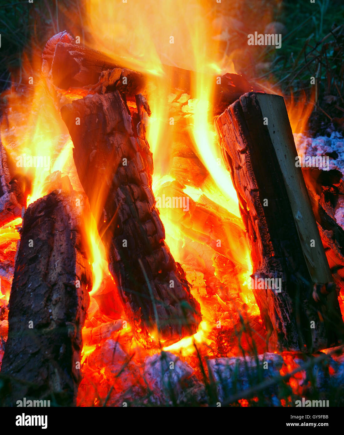 Capturing the Hot Coals glowing on a burning camp fire Stock Photo Alamy