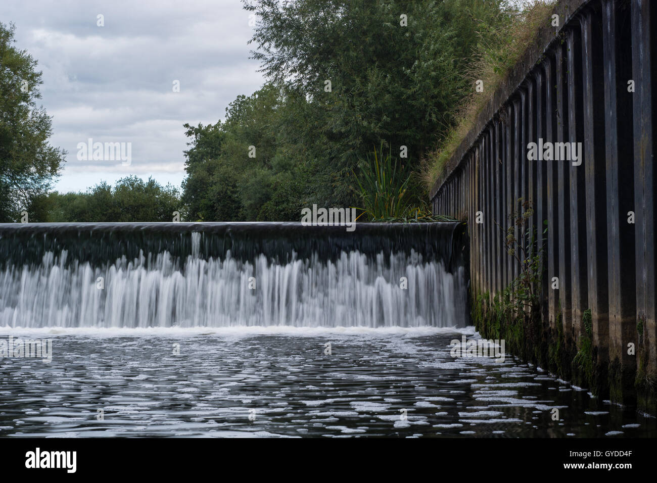 Weir across River Avon near Melksham. Water falling over waterfall forming flood defense before town in Wiltshire, England, UK Stock Photo