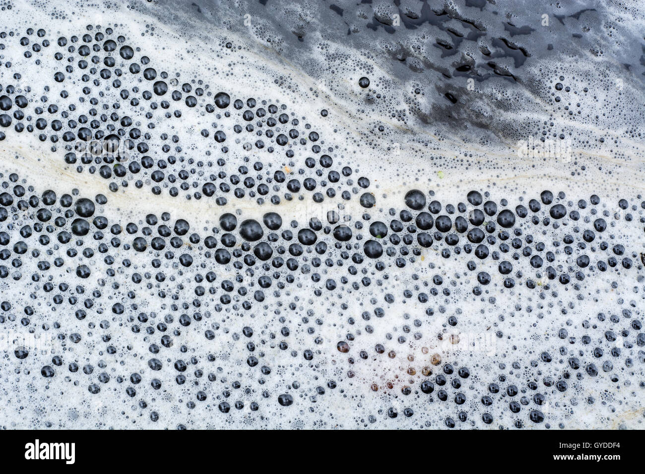 Organic scum forming foam line on surface of river. White and brown