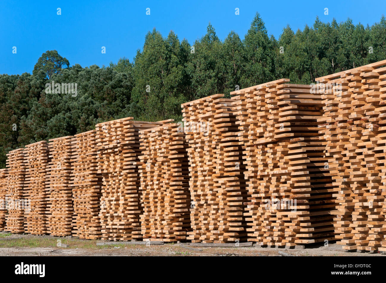 Wood industry, Morpeguite, Muxia, La Coruña province, Region of Galicia, Spain, Europe Stock Photo