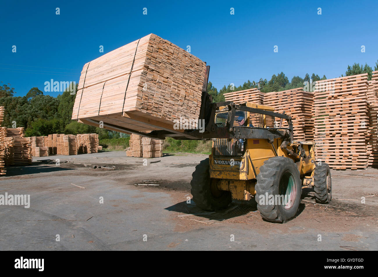 Wood industry, Morpeguite, Muxia, La Coruña province, Region of Galicia, Spain, Europe Stock Photo