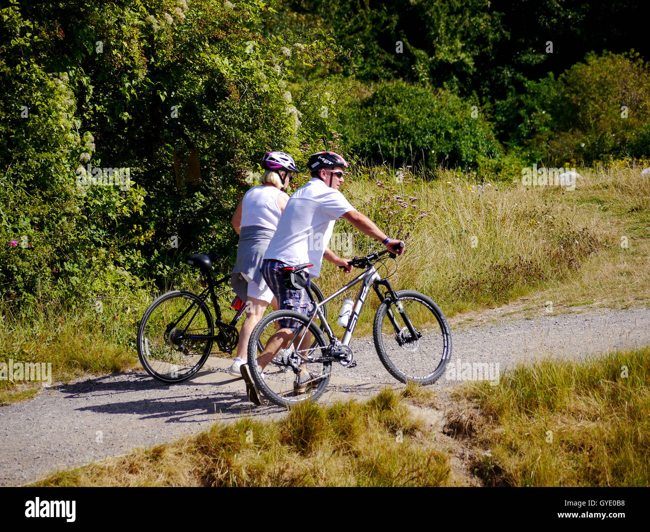 A man and lady push their bikes along a woodland path Stock Photo