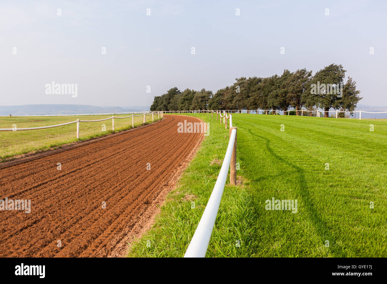 Race horse sand grass training tracks  landscape. Stock Photo